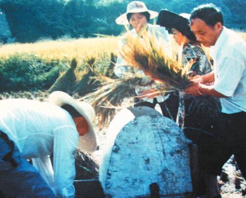 上个世纪八十年代，张伟基（右一）与村民一起在劳动