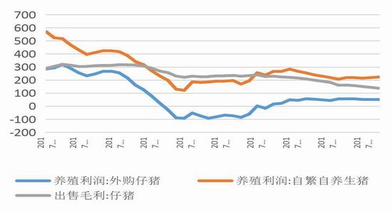 边拉货人口_裙边元贝冻货图片(3)
