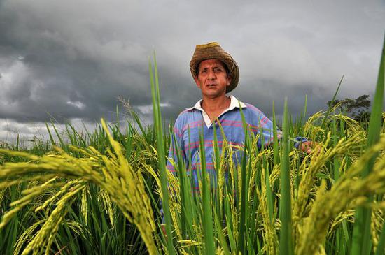 外媒头条:特朗普签署钢铝关税法令 加墨暂豁免