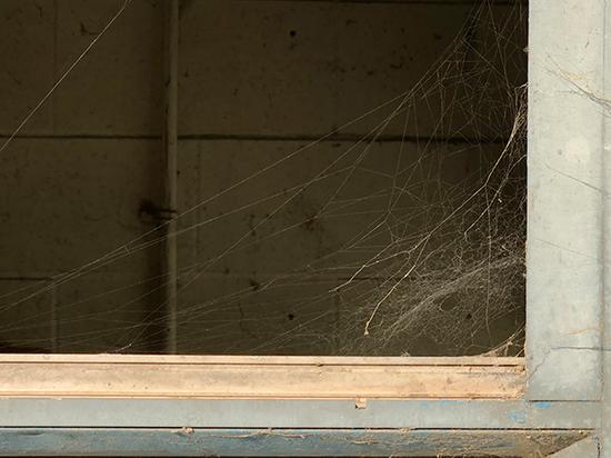 窗台、门把手，处处都包裹着蜘蛛网