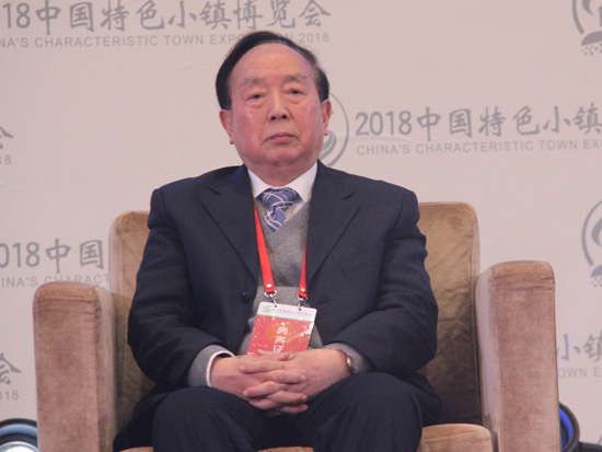 南京大学教授、中国城市规划学会理事崔功豪