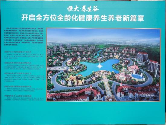 图为养生谷鸟瞰图