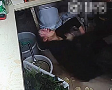 吉林3男1女嫌上菜慢暴打老板娘