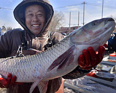 300年历史大集万人抢年货 大鱼最抢手