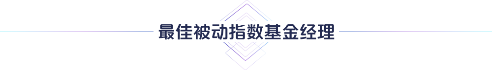 最佳被动指数基金经理
