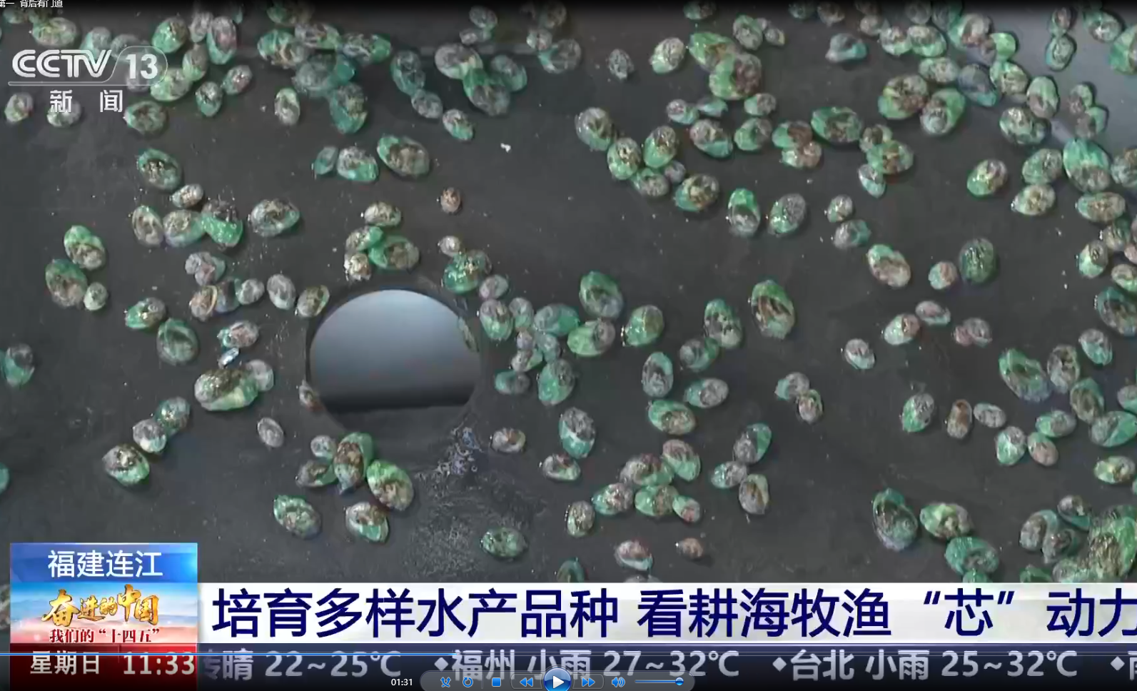 福建：水产品人均占有量全国第一  背后有门道