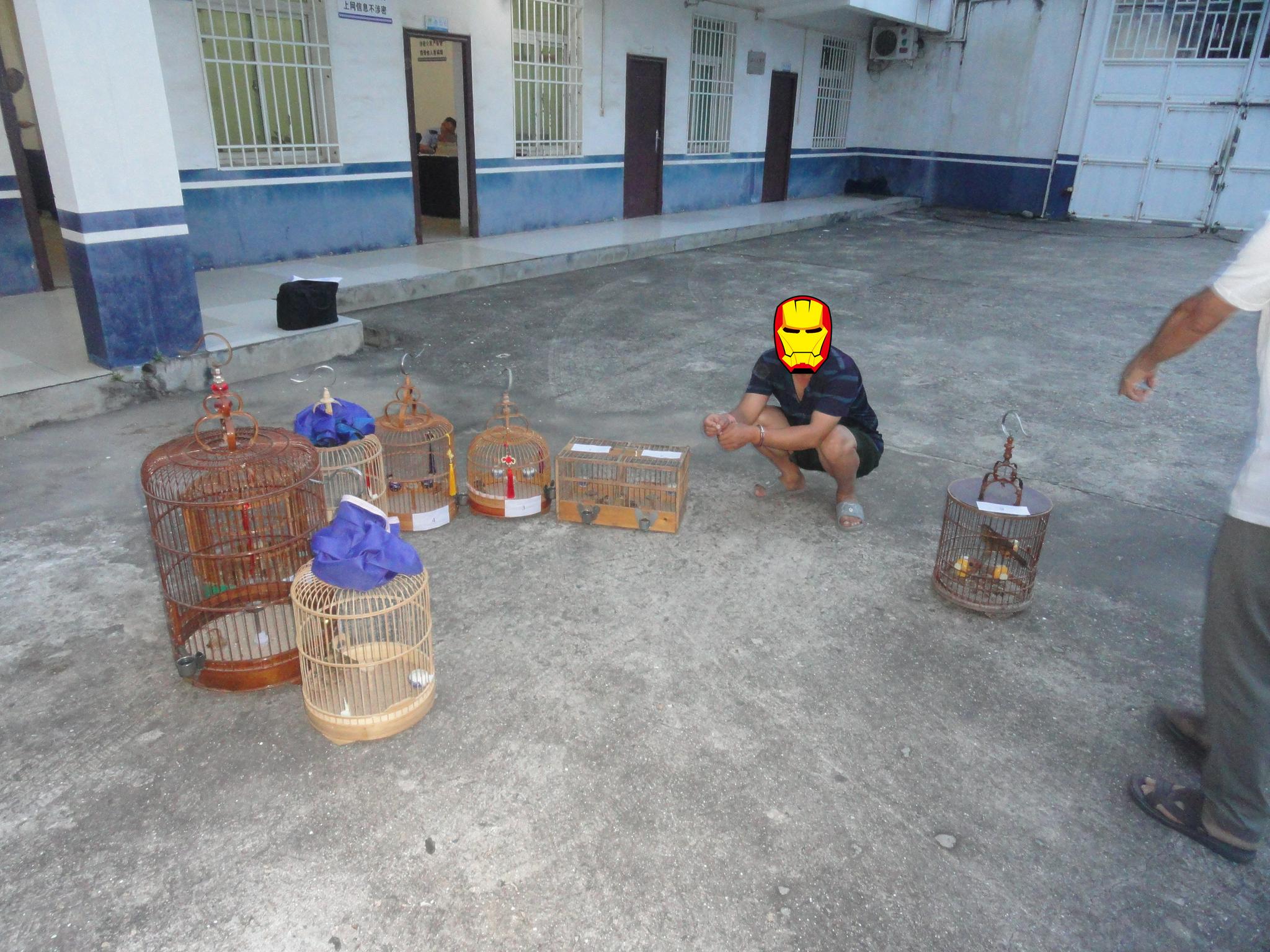 二级保护动物！莆田警方破获非法猎捕云雀案