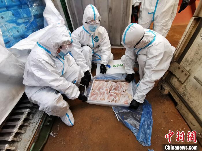 福建漳州海警查獲涉嫌走私凍品約120噸