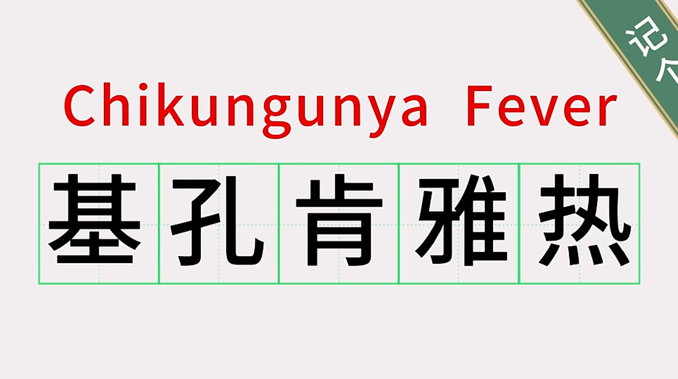 什么是基孔肯雅热如何_20260529175540
