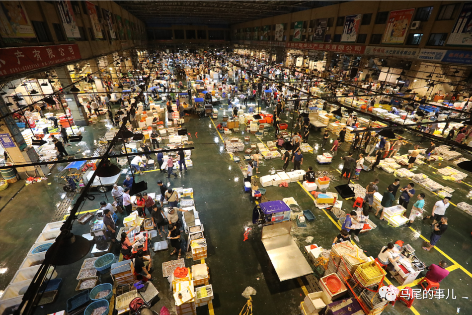 真香！福州迎海捕“大年”！价格“腰斩”……