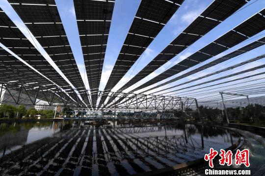 太阳阶梯石狮：污水厂架设万余太阳能电池板如“黑浪”
