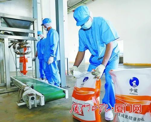 在新生产线一楼车间,工作人员正在对产品进行装袋。 厦门日报记者 王协云 摄