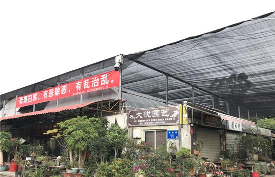 花木城拆除前