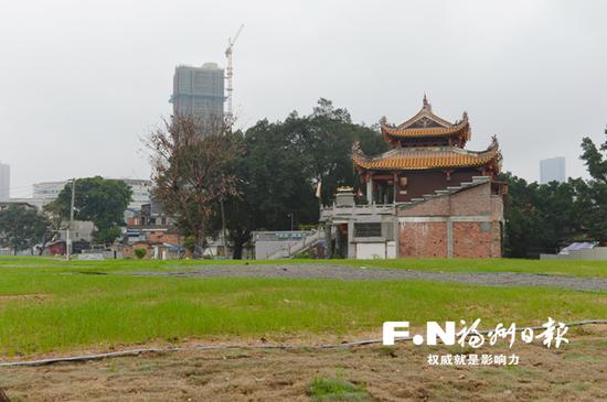 六一路与国货路交界处拆迁地块完成绿化。