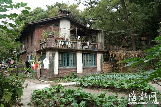 这些老建筑有的闲置荒废,有的则成了药厂用房和工人宿舍