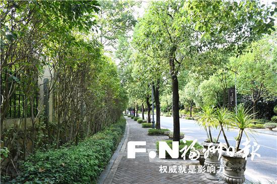 省体至金牛山公园将打造33.5公里慢道。