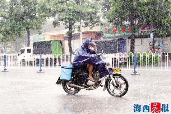 8月28日中午,集美锦园,行人在大雨中穿行。记者 唐光峰 摄