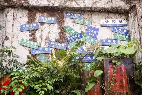 谢雨真 摄