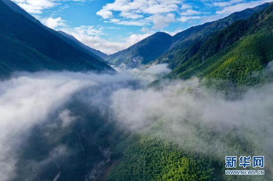12月1日，武夷断裂带峡谷内云雾缭绕，风景如画（无人机照片）。
