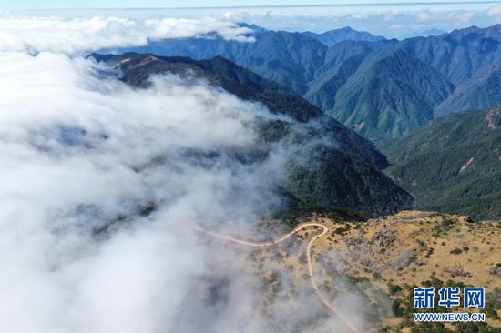 12月1日，武夷主峰黄岗山云雾缭绕，美若仙境（无人机照片）。