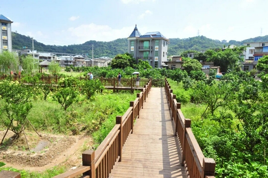 游客沿木栈道逛果园。陈建国 摄