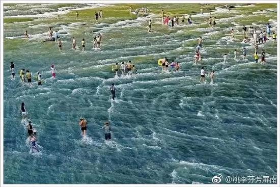 图 | 桃李芬芳屏南