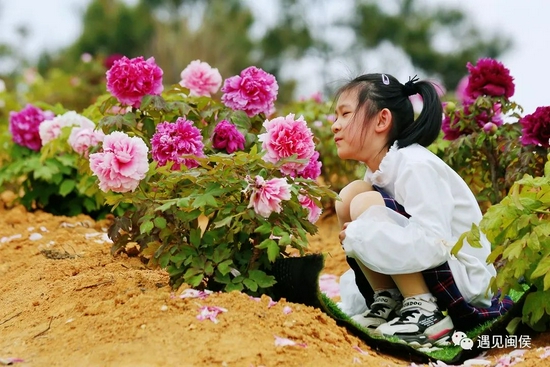 花不醉人人自醉。王立强 摄
