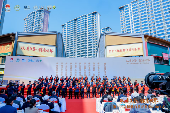 第十五届福鼎白茶开茶季现场。主办方供图