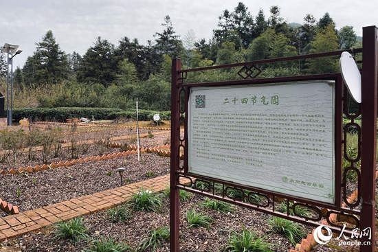 鲍云萍经营的百草园里种着400多种中草药。人民网 谢星宇摄