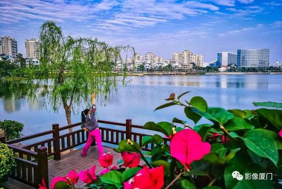 《晨练》陈瑞坤/摄于埭辽公园