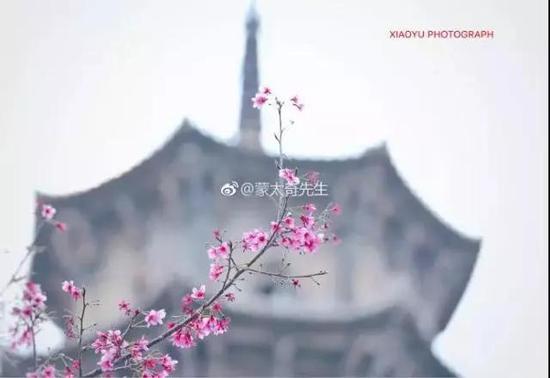 图片来源:泉州市旅游局