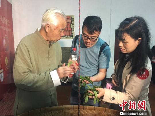 中国制茶大师王艺生正向游客介绍茶叶制作工序中的摇青工序。叶秋云摄