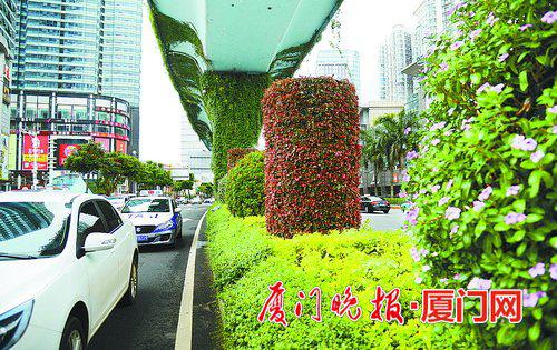BRT桥墩穿上了“彩衣”,花球花柱“入住”道路中分带。刘东华 摄