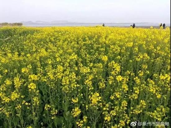 图片来源:泉州市旅游局