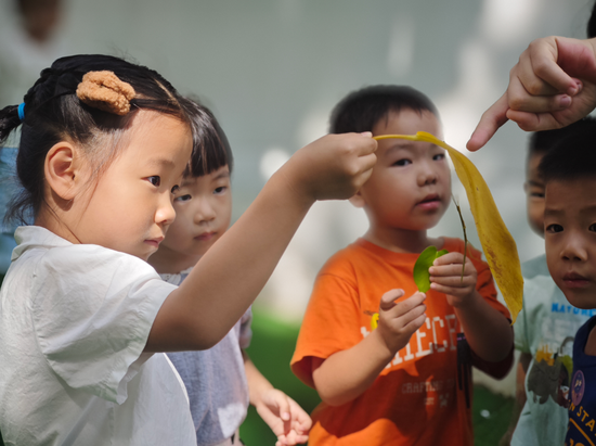 （一中国贸幼儿园-暑托班自然探秘课程）