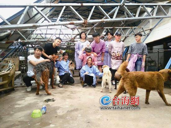 ▲爱心人士与流浪狗的合影