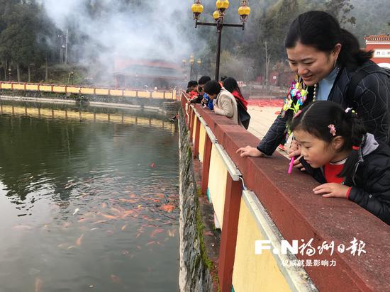 市民在雪峰寺看锦鲤。记者 黄凌 摄