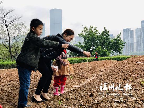 市民在花海公园播种。