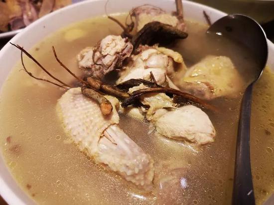牛奶根炖土鸡