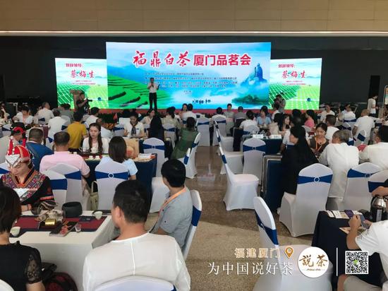 △福鼎白茶品茗会