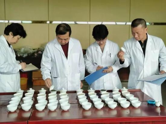 评茶现场