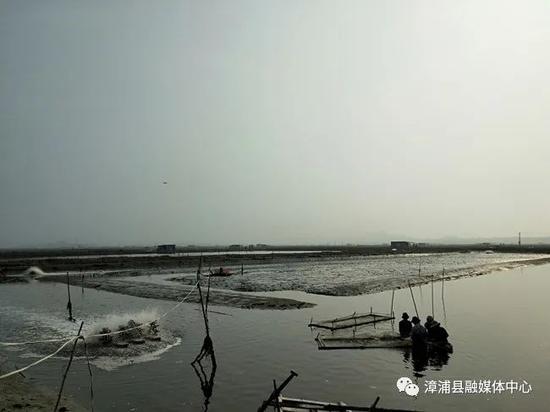 漳浦县东坂村河鲀养殖基地。漳浦县融媒体中心供图