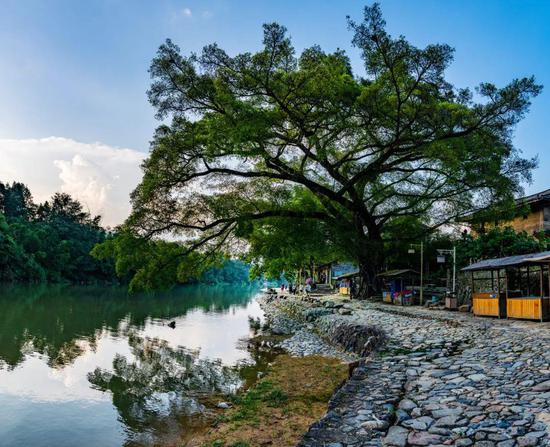 　图源：福建省文化旅游厅云图库