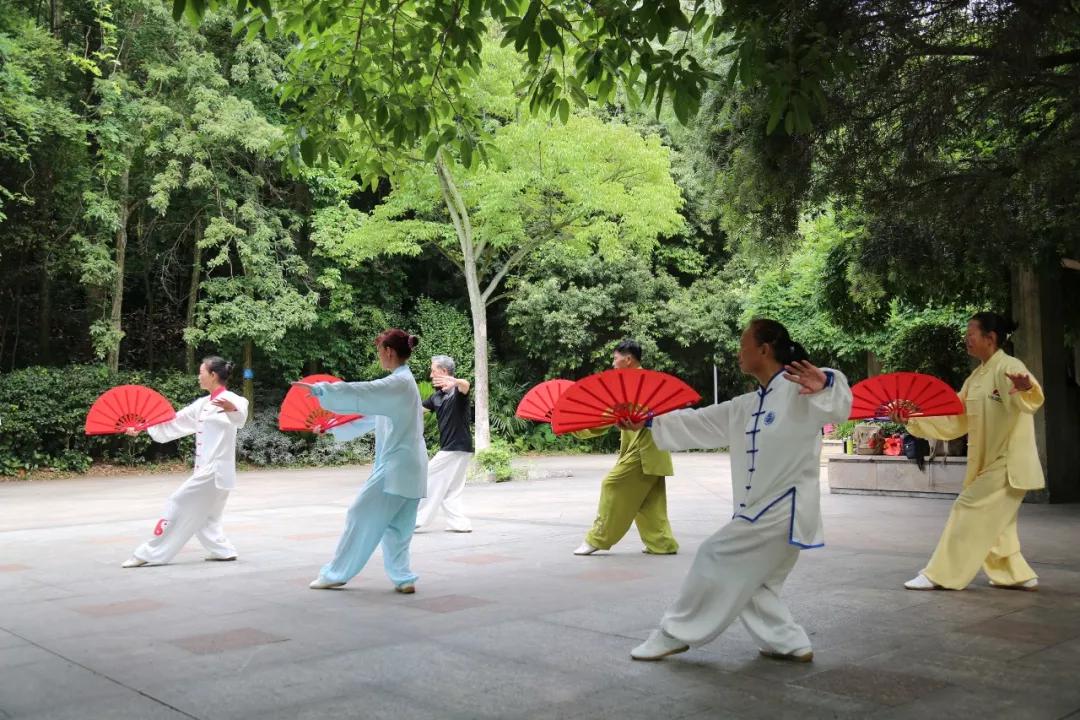 登高山公园晨练的市民 | 蓝明丰 摄