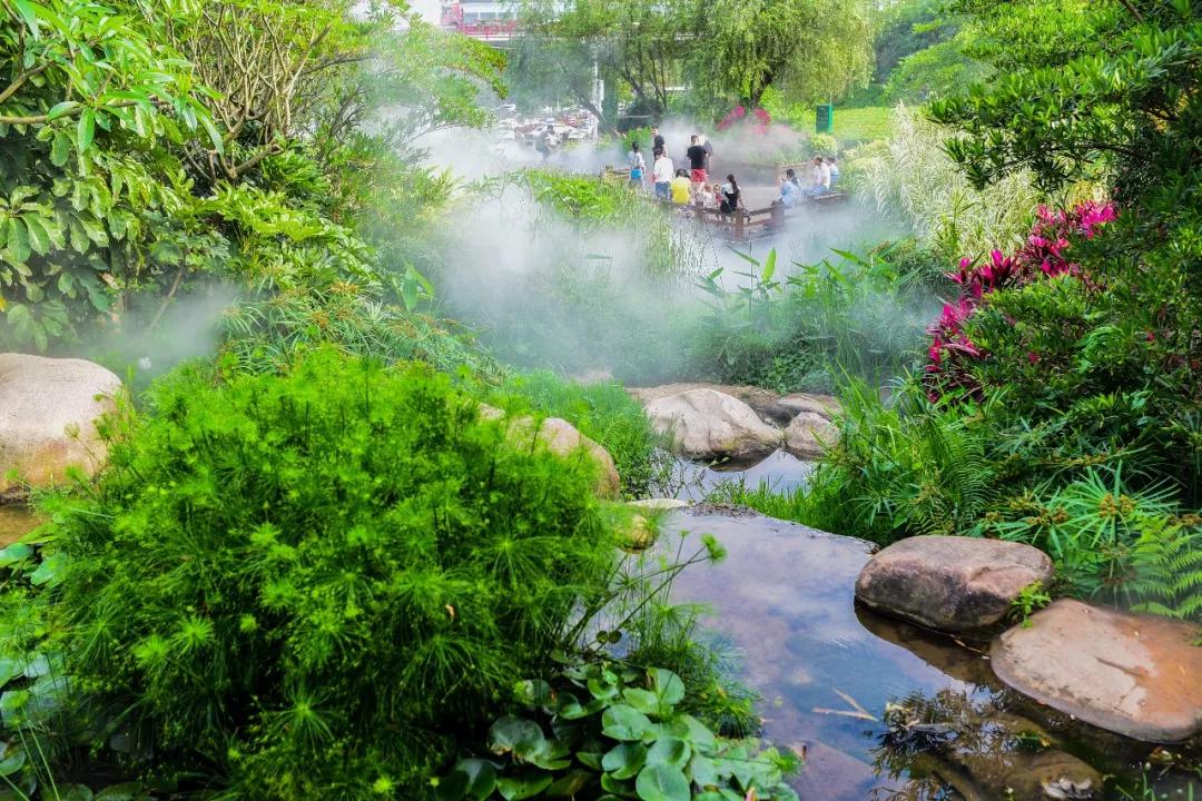 图/广电拍客陈瑞坤
