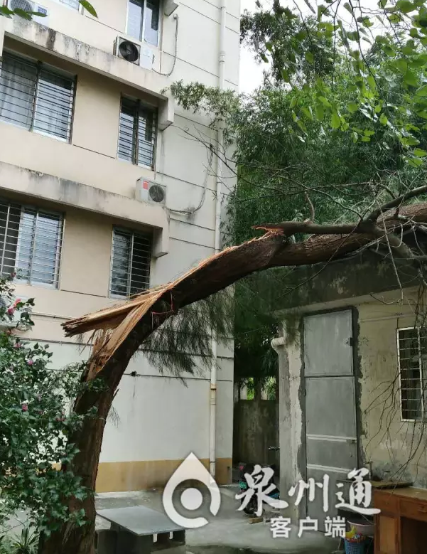 ����800�궫���ű���� ��ǿ̨��Ѹ���Ű������