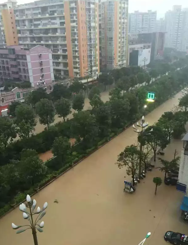 泉州市区刺桐路，积水过膝，出行的人们在水中艰难前行。（陈灵摄）