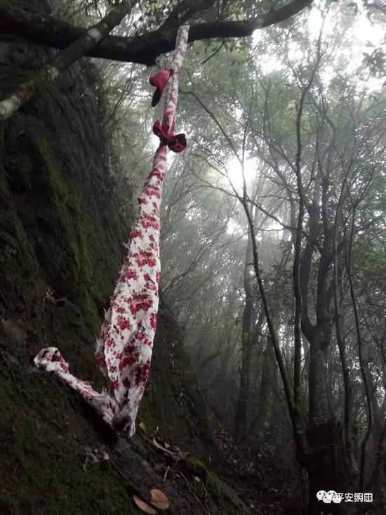 大田红包赌博
