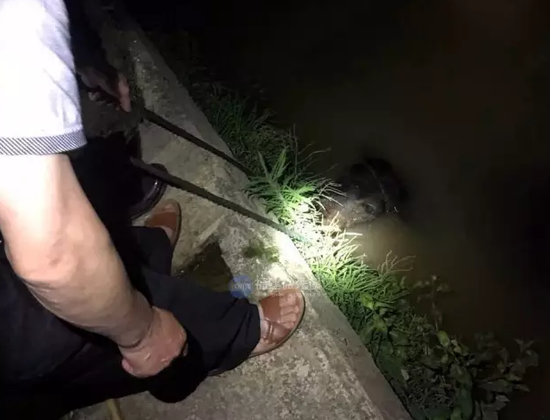 温馨提示