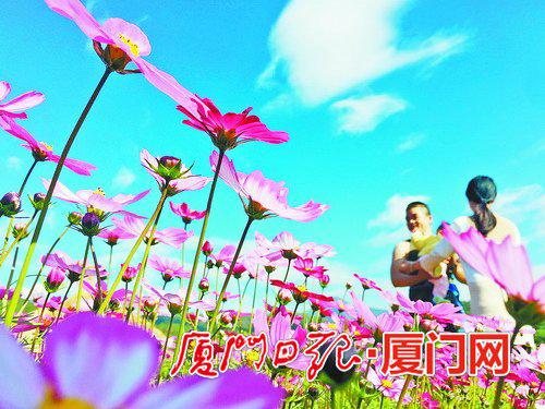 前格村旅游资源丰富。图为市民游客前来观赏花海。(陈嘉新 摄)